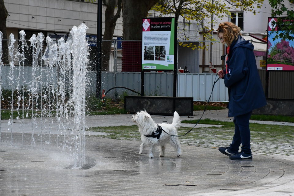 découvrez comment valoriser efficacement votre bien immobilier à levallois : conseils d’experts, tendances du marché et astuces pour optimiser la vente ou la location de votre logement.